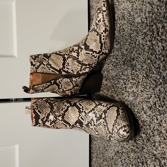 Mata Snake Print Booties, Size: 7 Worn Once - Picture 3 of 4